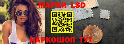 крисы Гатчина