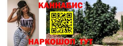 крисы Гатчина