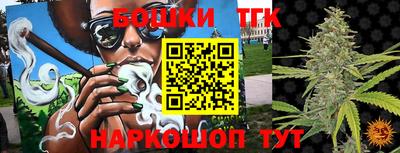 крисы Гатчина