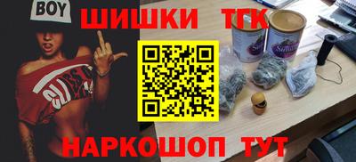 крисы Гатчина