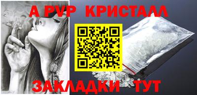 крисы Гатчина