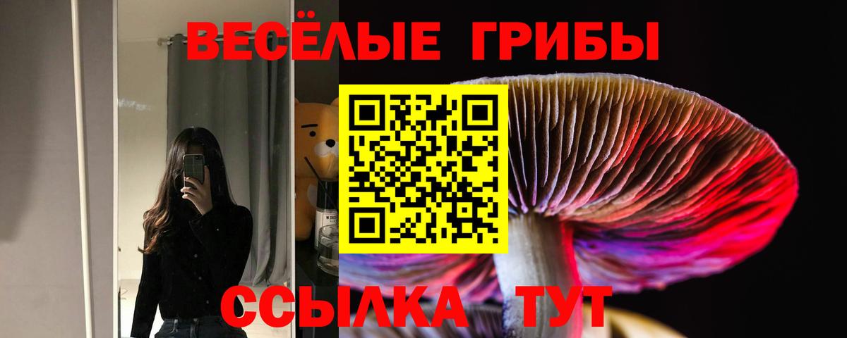 Псилоцибиновые грибы Cubensis  Галлюциногенные грибы мицелий  Жуковский 